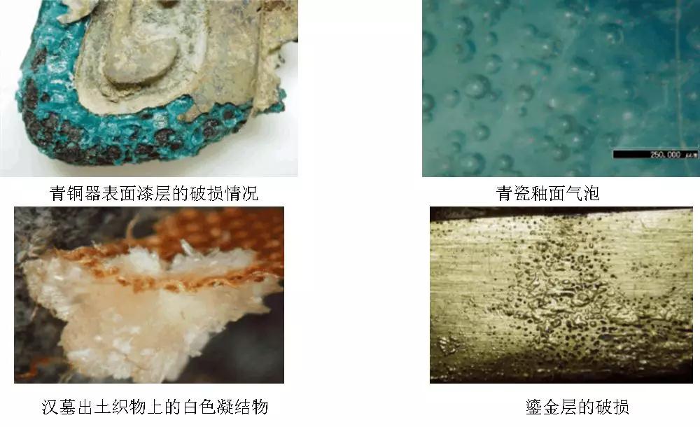 體視顯微鏡在文物保護中的應(yīng)用